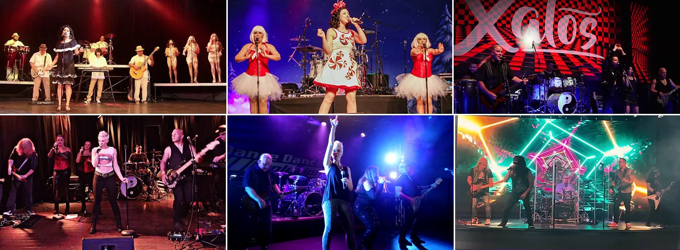 Various performances by the acts of the Tribute Tribe